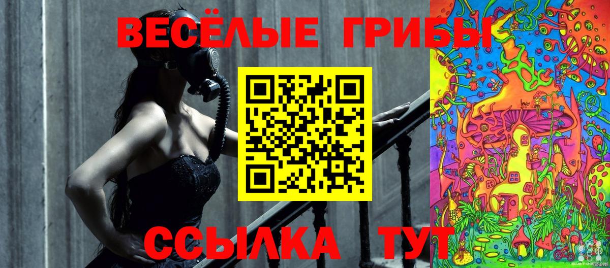Галлюциногенные грибы GOLDEN TEACHER Керчь